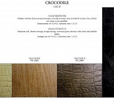 Шкаф Angelo Cappellini Borodin 1